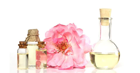 A Timeless Classic. The Rose.