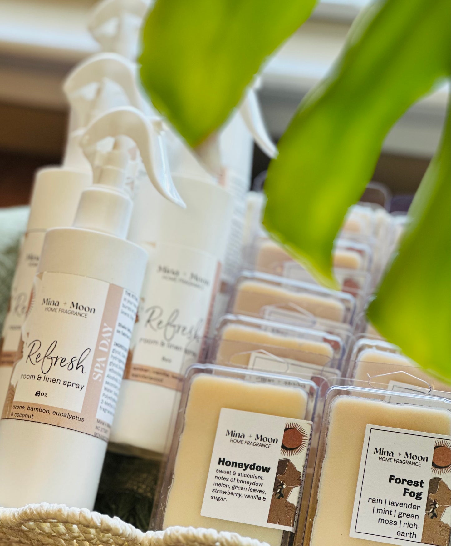 FOREST FOG | soy melt